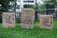 Stanley Military Cemetery - Stopani-Thomson, George